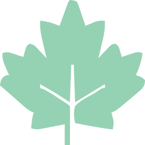 Vector