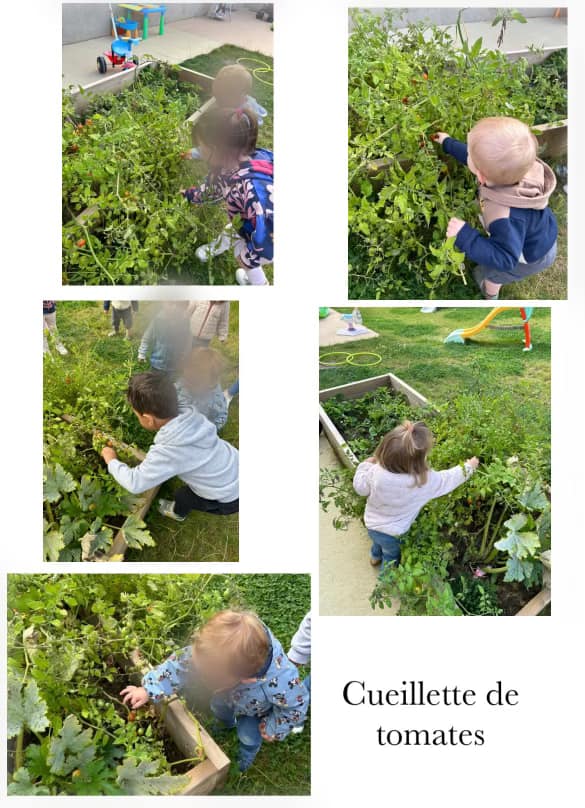 activite nature